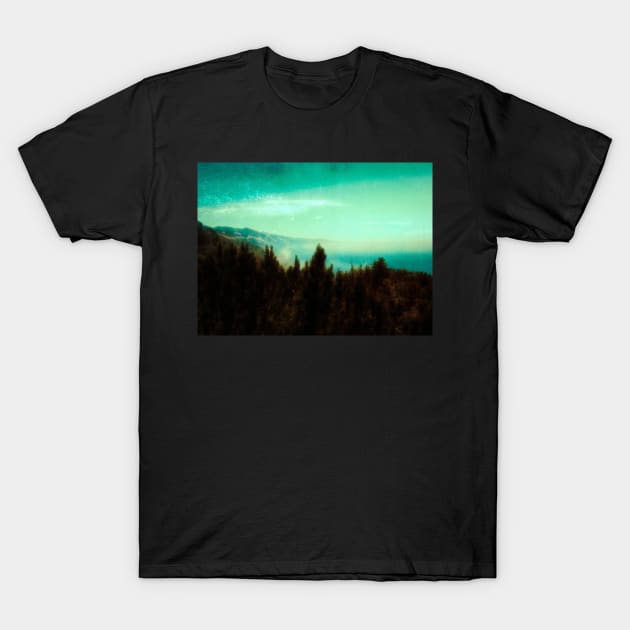 Big Sur Mood T-Shirt by secretgardener